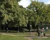 Man, 20, is arrested on after attempted rape on Tooting Common trends now