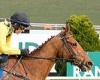 sport news Robin Goodfellow's racing tips: Best bets for Thursday, April 18 trends now