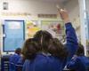 Warning primary schools face 'catastrophic' wave of closures: Fears plummeting ... trends now