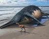 Somerset's giant sea monster! Huge ichthyosaur twice the size of a London bus ... trends now