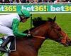 sport news Haatem set to join stable star Rosallion in the 2000 Guineas next month after ... trends now