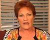 Pauline Hanson says what many are thinking about the Albanese government: 'We ... trends now