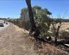 Clackline WA crash: Heartbreaking new details emerge as three brothers and ... trends now