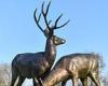 Hunt for thieves who stole three large bronze statues of a stag, two deer and a ... trends now