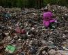 Mountain of waste that has desecrated beauty spot with rubbish piled 12ft high ... trends now