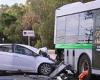 Woman and her pet dog are killed in horror collision between a car and a bus in ... trends now