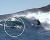 sport news Insane moment surfer Gabriela Bryan is stunned by 'crazy' sighting during ... trends now