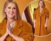 Celine Dion reveals she wore a coat for 'nerve-wracking' appearance at ... trends now