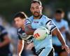 Sharks star stood down for short term over 'failed drug and alcohol tests'
