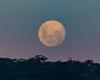 Look up tonight! Full Pink Moon peaks this evening as our entire lunar ... trends now