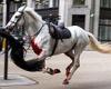 Escaped Household Cavalry horses rampage through London: Five animals including ... trends now