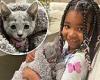 Khloe Kardashian surprises her daughter True, 6, with second cat as a birthday ... trends now