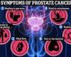 Masturbating might slash risk of prostate cancer, claims expert (and more is ... trends now