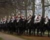 Household Cavalry horses that ran amok across London today are best known as ... trends now