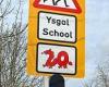 Dragon-themed 20mph signs outside Welsh schools are branded 'dangerous' by ... trends now