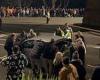 Anzac Day New Plymouth, New Zealand: Heroic moment dawn service attendees join ... trends now