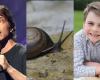 Weekly news quiz: A breastfeeding row, a celebrity snail, plus Prince Louis's ...