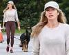 Gisele Bundchen looks somber on dog walk as she is seen for FIRST time since ... trends now