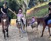Australian supermodel Jennifer Hawkins takes her daughter Frankie, four, horse ... trends now
