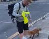 Fang-tastic Mr Fox! Funny moment urban fox dubbed 'Roxy' sniffs a man's leg ... trends now