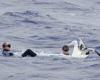 British father and son swim to the most remote place on Earth - only to be ... trends now