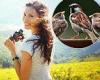 How just 30 minutes' birdwatching every week can send your spirits soaring trends now