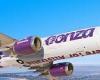 Bonza is placed into voluntary administration as flights are cancelled and ... trends now