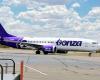 Live: Regional airline Bonza has cancelled flights throughout the country as it ...