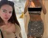 'Nude artist' Dina Broadhurst reveals her bare chest as she poses braless in a ... trends now