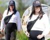 Pregnant Lea Michele shows off her baby bump in cropped sweater and leggings ... trends now