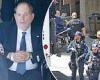 Harvey Weinstein is wheeled into New York court in handcuffs in first ... trends now