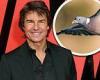 Tom Cruise 'hires hawks' to prevent pigeon chaos during Mission Impossible 8 ... trends now