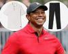 sport news Golf fans fume at price of Tiger Woods' Sun Day Red range as it launches with ... trends now