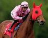 sport news Robin Goodfellow's racing tips: Best bets for Thursday, May 2 trends now