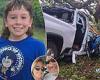 How a heroic nine-year-old saved his parents from trapped car after tree ... trends now