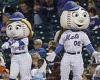 sport news New York Mets are looking for new mascots - and you could earn up to $90K for ... trends now
