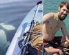 Incredible moment paddleboarder has very close encounter with pod of curious ... trends now