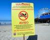 California residents told to avoid swimming in 'bacteria-infested' ocean as 12 ... trends now