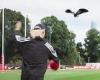 sport news Darcy Moore is swooped on by a MAGPIE during filming session for Channel 7 - ... trends now