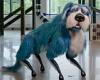 Meet Sparkles! Boston Dynamics' robot dog, Spot, wears a blue sparkly pooch ... trends now