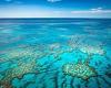 Tragedy as tourist dies while on a snorkelling trip to the Great Barrier Reef trends now