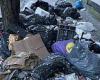 Families say rampant fly-tipping on their doorstep is causing rat infestation ... trends now