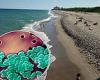 Florida issues warning about 'fecal water pollution' at two MORE popular beaches trends now