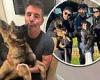 Simon Cowell hires Britain's Got Talent star to help tame wild pet German ... trends now