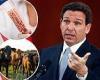 Southern Red states line up to join Florida banning lab-grown meat - the ... trends now