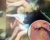 Heartstopping moment five year-old girl's arm is sucked inside gap by opening ... trends now