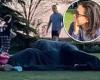 Video shows couple appearing to have sex under a blanket in broad daylight in ... trends now