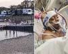 Medical student, 26, is left horrifically-injured after being pushed into lake ... trends now