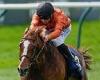 sport news Robin Goodfellow's racing tips: Best bets for Monday, May 6 trends now