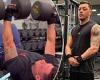 sport news Mesut Ozil shows off his incredible body transformation in new video as the ... trends now